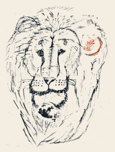 The lion drawing